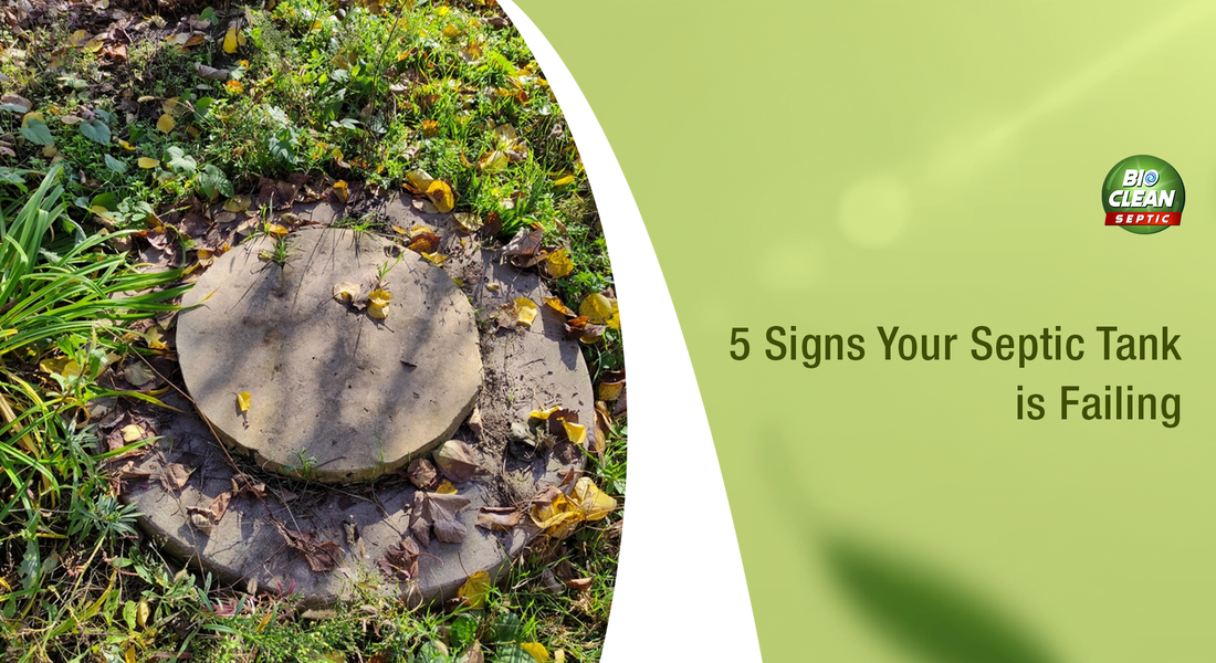 5 Signs Your Septic Tank Is Failing