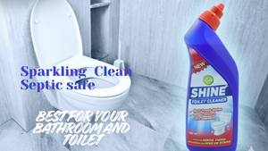 What to Do When Your Toilet or Bathroom Keeps Smelling, Clogging, or Overflowing?