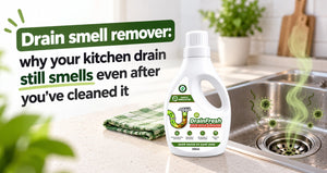 Drain smell remover: why your kitchen drain still smells even after you've cleaned it