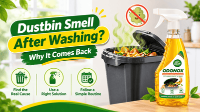 Why does your dustbin still smell after washing it? Garbage odour explained