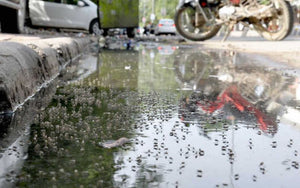 Foul Odours, Mosquitoes & Waterlogging: Stop Them with Proper Septic Tank Cleaning