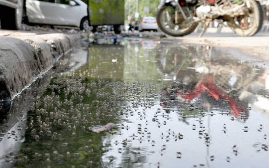 Foul Odours & Mosquitoes? Prevent With Septic Tank Cleaning