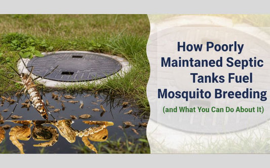 How Poorly Maintained Septic Tanks Fuel Mosquito Breeding (and What You Can Do About It)