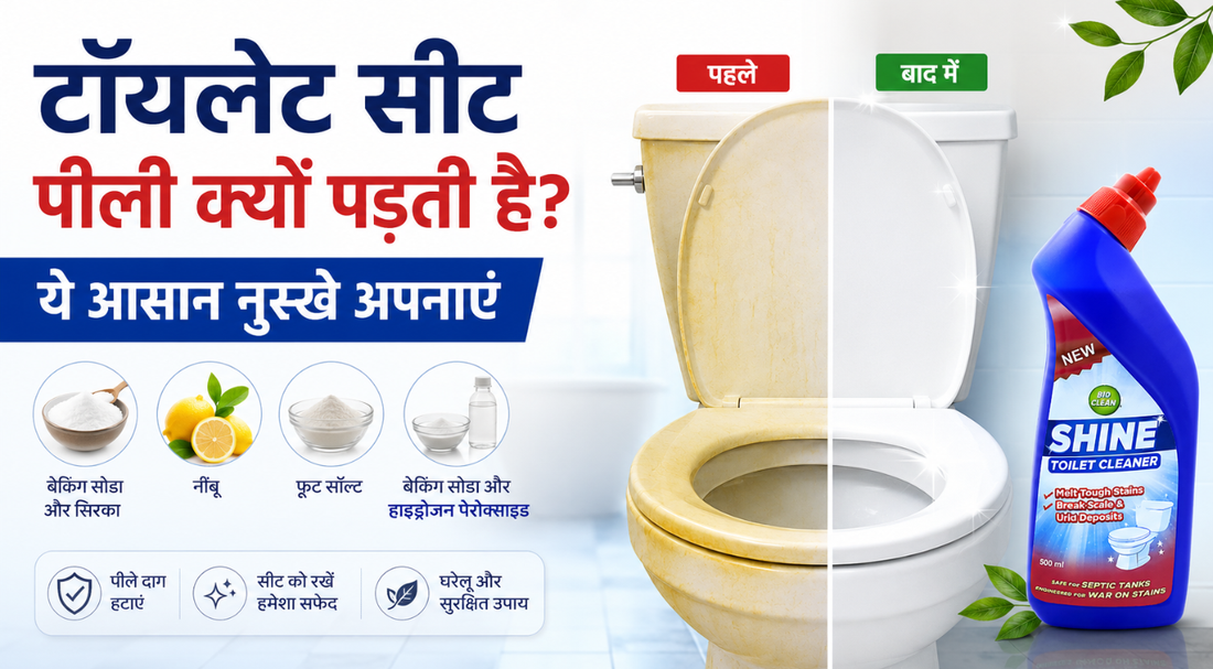 टॉयलेट सीट पीली क्यों पड़ती है? ये आसान नुस्खे अपनाएं