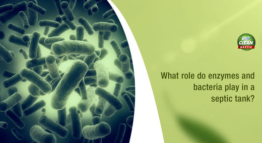 What role do enzymes and bacteria play in a septic tank?