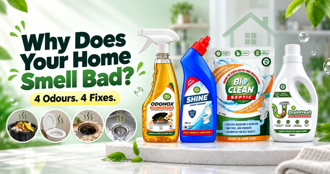 Why does your home smell bad? 4 common odours and how to fix them