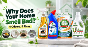 Why does your home smell bad? 4 common odours and how to fix them