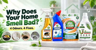 Why does your home smell bad? 4 common odours and how to fix them