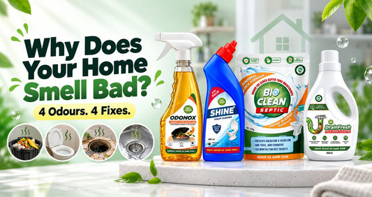 Why does your home smell bad? 4 common odours and how to fix them