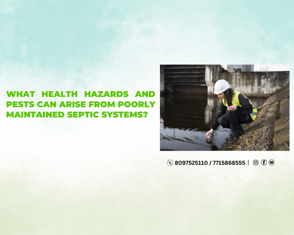 What Health Hazards and Pests Can Arise from Poorly Maintained Septic Systems?
