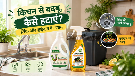 किचन से बदबू कैसे हटाएं? सिंक और कूड़ेदान के उपाय